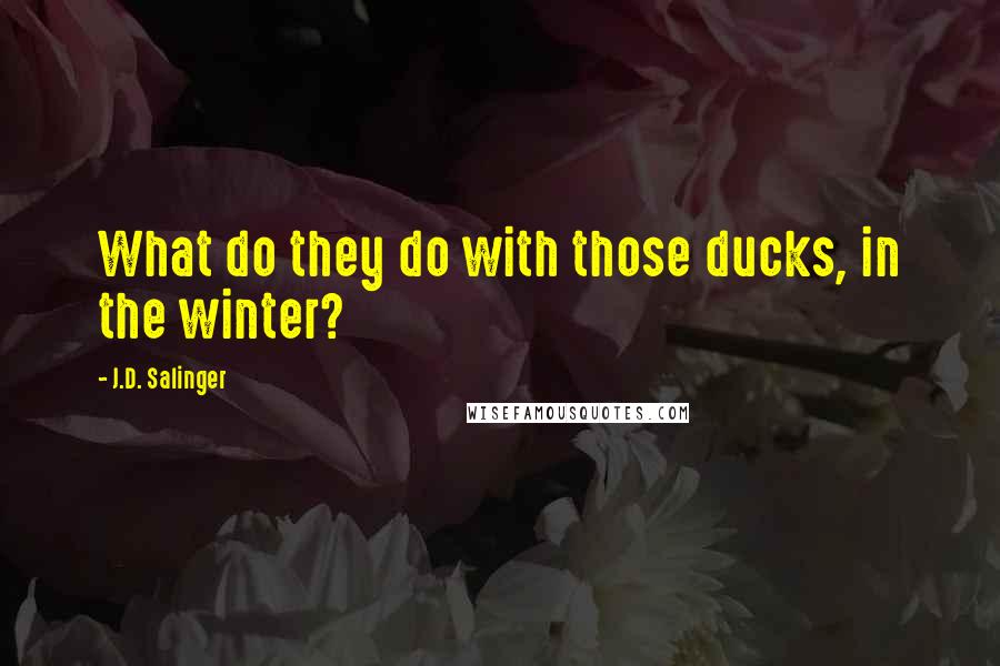 J.D. Salinger Quotes: What do they do with those ducks, in the winter?