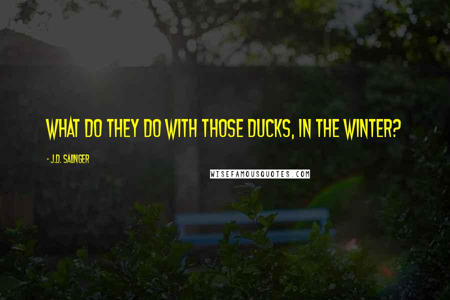 J.D. Salinger Quotes: What do they do with those ducks, in the winter?