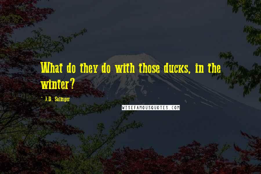 J.D. Salinger Quotes: What do they do with those ducks, in the winter?