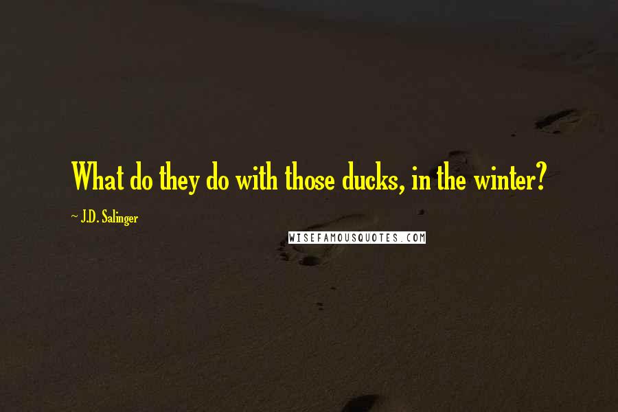 J.D. Salinger Quotes: What do they do with those ducks, in the winter?