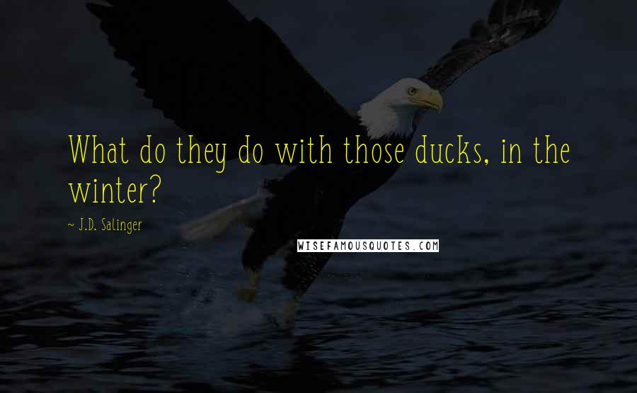 J.D. Salinger Quotes: What do they do with those ducks, in the winter?