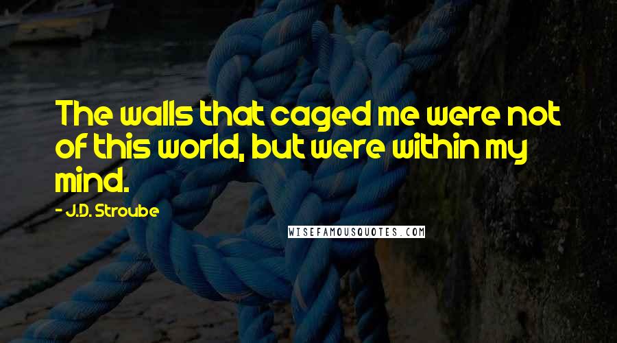 J.D. Stroube Quotes: The walls that caged me were not of this world, but were within my mind.