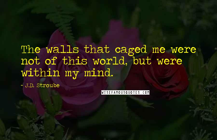 J.D. Stroube Quotes: The walls that caged me were not of this world, but were within my mind.