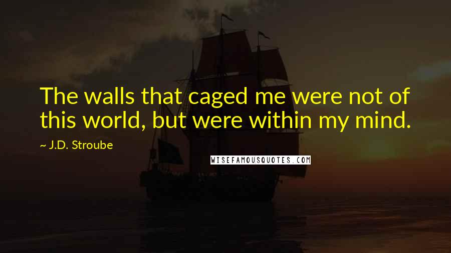 J.D. Stroube Quotes: The walls that caged me were not of this world, but were within my mind.