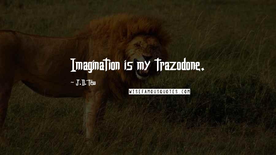 J.D. Tew Quotes: Imagination is my trazodone.