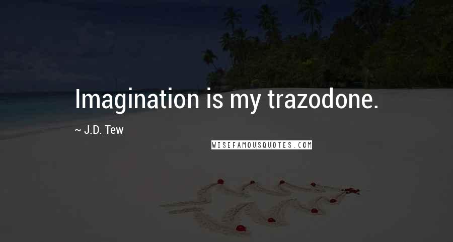 J.D. Tew Quotes: Imagination is my trazodone.