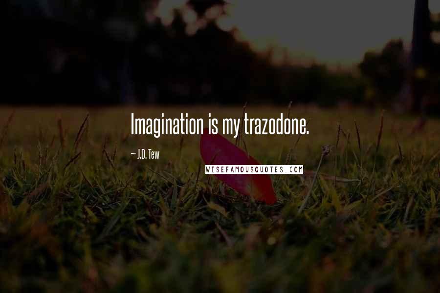 J.D. Tew Quotes: Imagination is my trazodone.