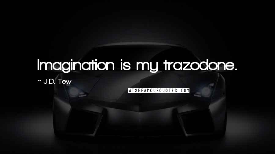J.D. Tew Quotes: Imagination is my trazodone.