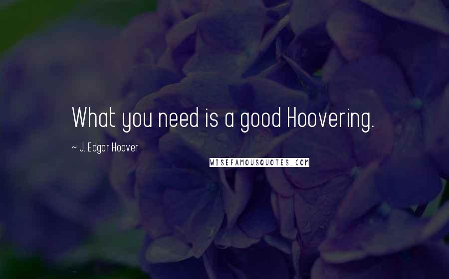 J. Edgar Hoover Quotes: What you need is a good Hoovering.