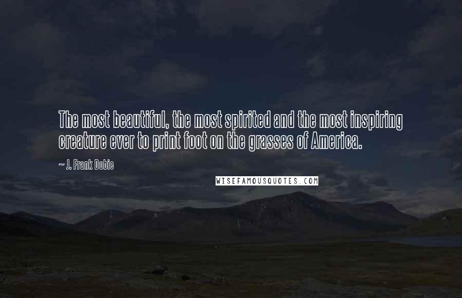 J. Frank Dobie Quotes: The most beautiful, the most spirited and the most inspiring creature ever to print foot on the grasses of America.