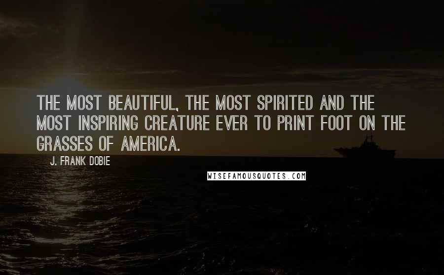 J. Frank Dobie Quotes: The most beautiful, the most spirited and the most inspiring creature ever to print foot on the grasses of America.