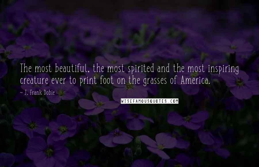 J. Frank Dobie Quotes: The most beautiful, the most spirited and the most inspiring creature ever to print foot on the grasses of America.