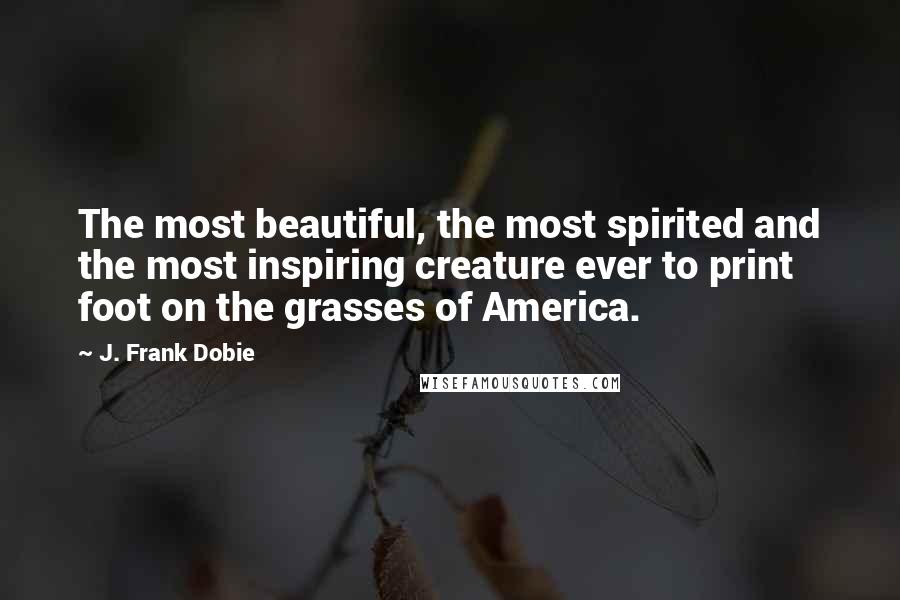 J. Frank Dobie Quotes: The most beautiful, the most spirited and the most inspiring creature ever to print foot on the grasses of America.