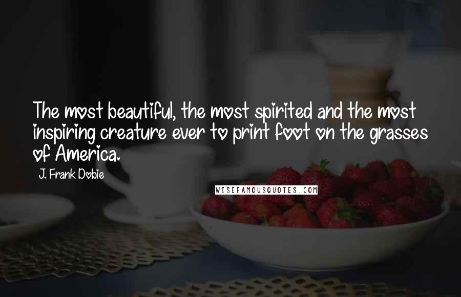 J. Frank Dobie Quotes: The most beautiful, the most spirited and the most inspiring creature ever to print foot on the grasses of America.