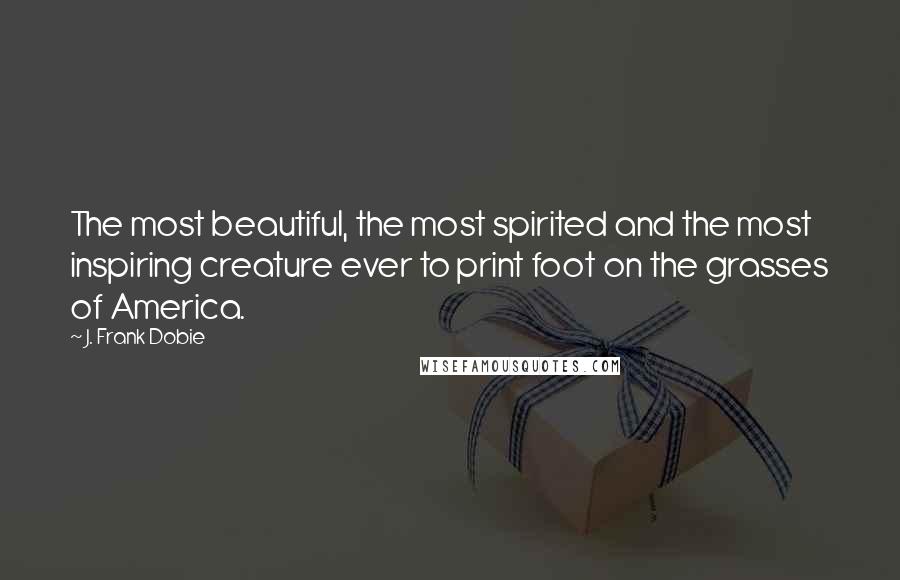 J. Frank Dobie Quotes: The most beautiful, the most spirited and the most inspiring creature ever to print foot on the grasses of America.