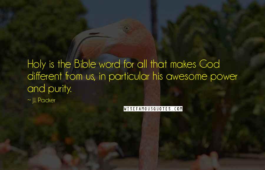 J.I. Packer Quotes: Holy is the Bible word for all that makes God different from us, in particular his awesome power and purity.