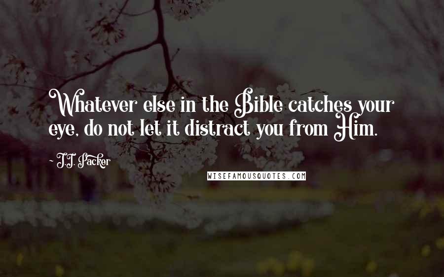 J.I. Packer Quotes: Whatever else in the Bible catches your eye, do not let it distract you from Him.