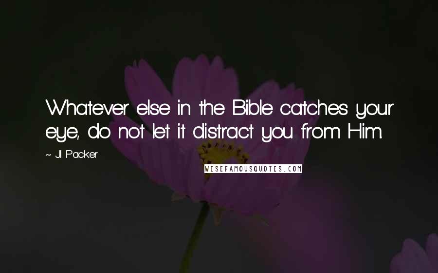 J.I. Packer Quotes: Whatever else in the Bible catches your eye, do not let it distract you from Him.