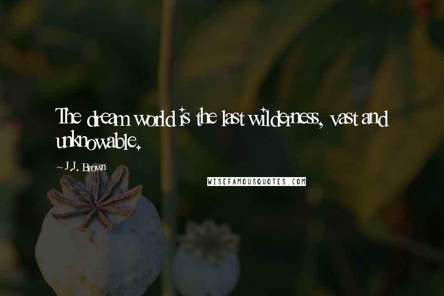 J.J. Brown Quotes: The dream world is the last wilderness, vast and unknowable.