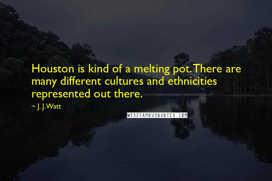 J. J. Watt Quotes: Houston is kind of a melting pot. There are many different cultures and ethnicities represented out there.
