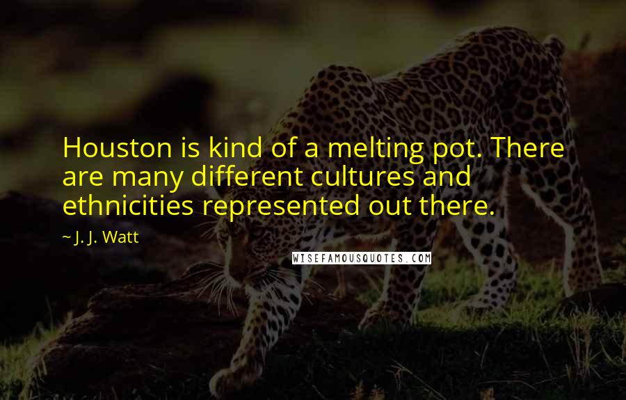 J. J. Watt Quotes: Houston is kind of a melting pot. There are many different cultures and ethnicities represented out there.