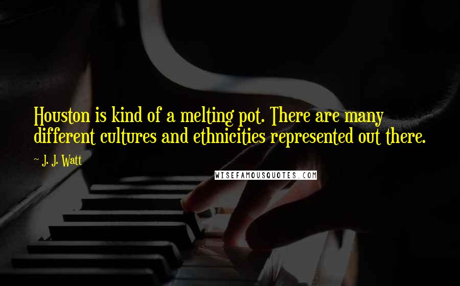 J. J. Watt Quotes: Houston is kind of a melting pot. There are many different cultures and ethnicities represented out there.