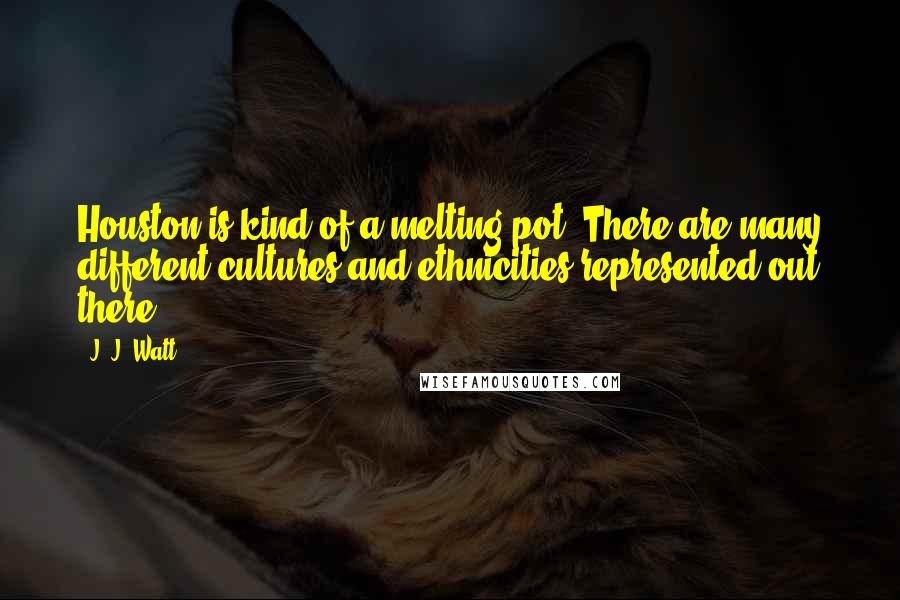 J. J. Watt Quotes: Houston is kind of a melting pot. There are many different cultures and ethnicities represented out there.