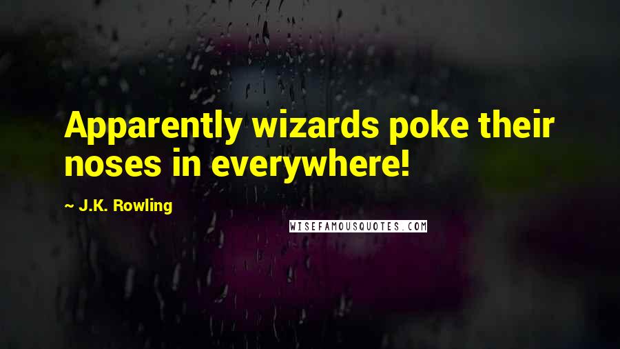 J.K. Rowling Quotes: Apparently wizards poke their noses in everywhere!