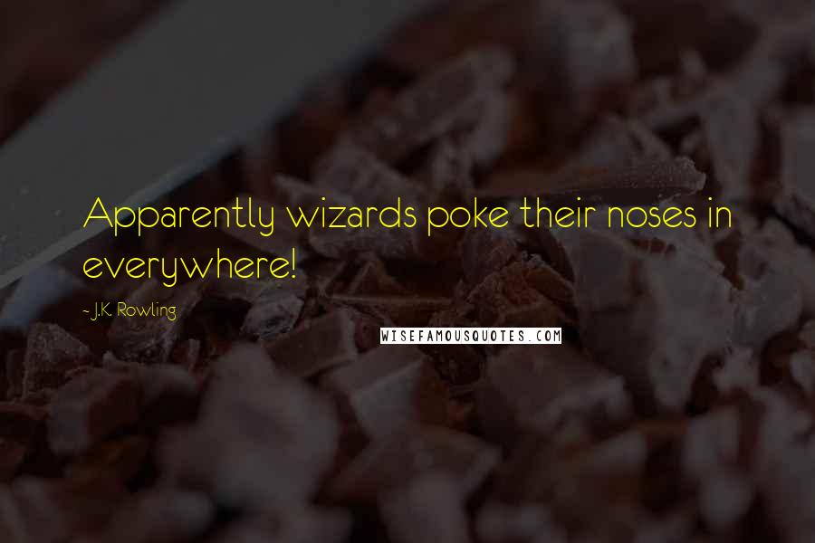 J.K. Rowling Quotes: Apparently wizards poke their noses in everywhere!