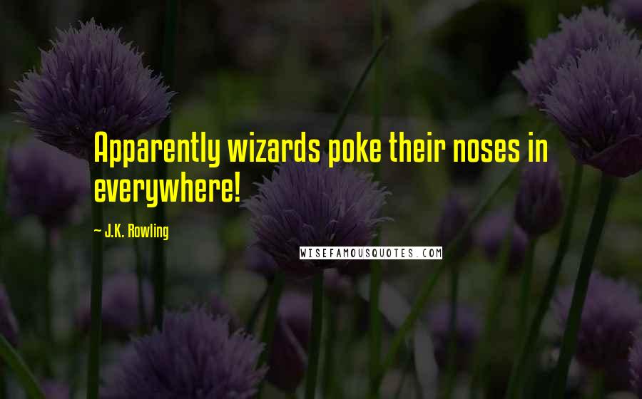 J.K. Rowling Quotes: Apparently wizards poke their noses in everywhere!