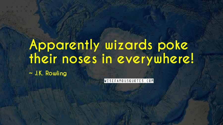 J.K. Rowling Quotes: Apparently wizards poke their noses in everywhere!