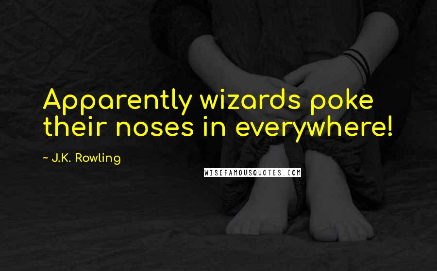 J.K. Rowling Quotes: Apparently wizards poke their noses in everywhere!