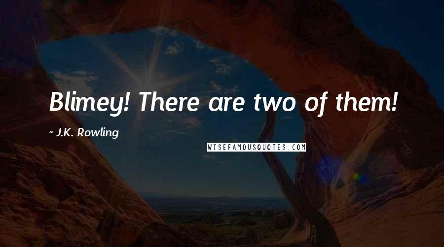 J.K. Rowling Quotes: Blimey! There are two of them!