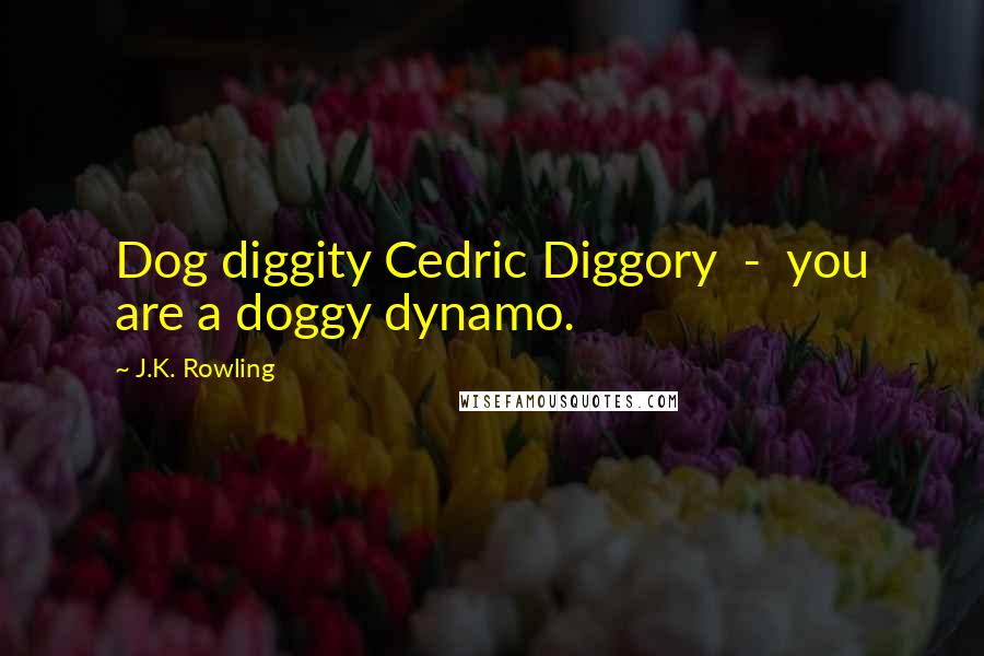 J.K. Rowling Quotes: Dog diggity Cedric Diggory - you are a doggy dynamo.