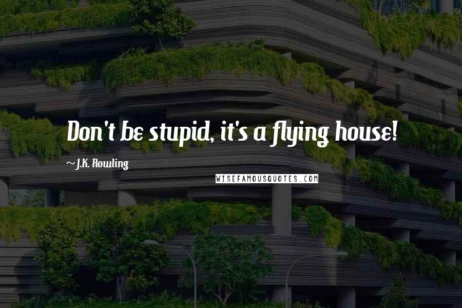 J.K. Rowling Quotes: Don't be stupid, it's a flying house!