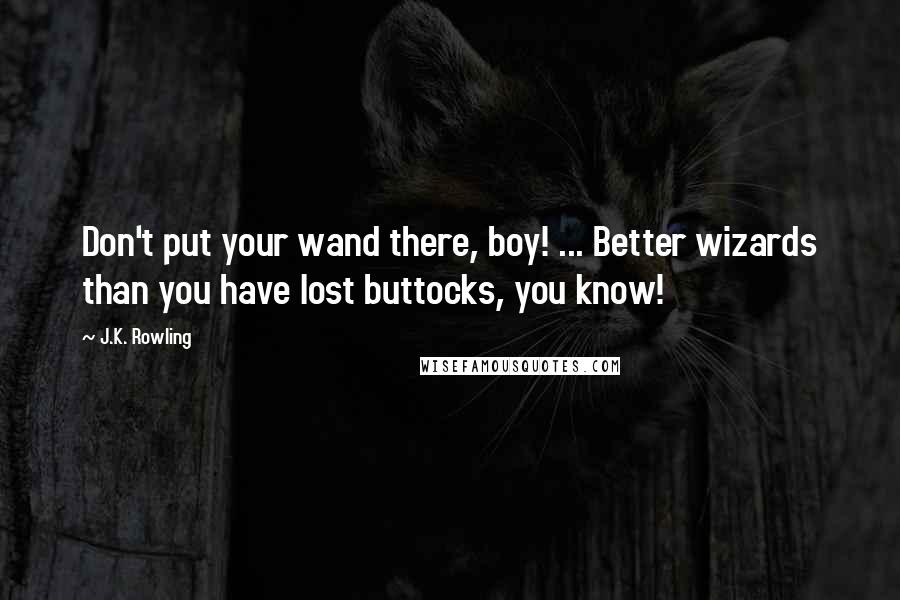 J.K. Rowling Quotes: Don't put your wand there, boy! ... Better wizards than you have lost buttocks, you know!