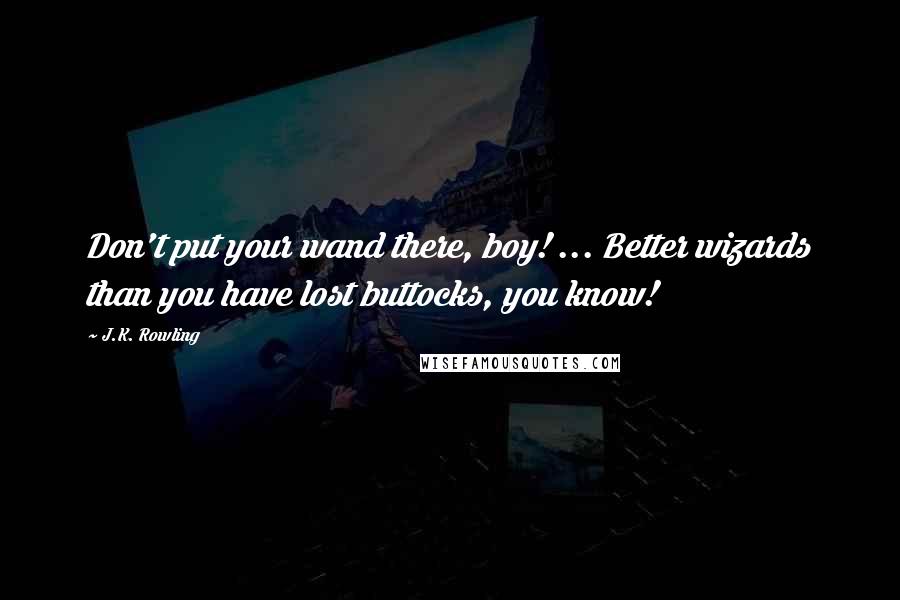 J.K. Rowling Quotes: Don't put your wand there, boy! ... Better wizards than you have lost buttocks, you know!