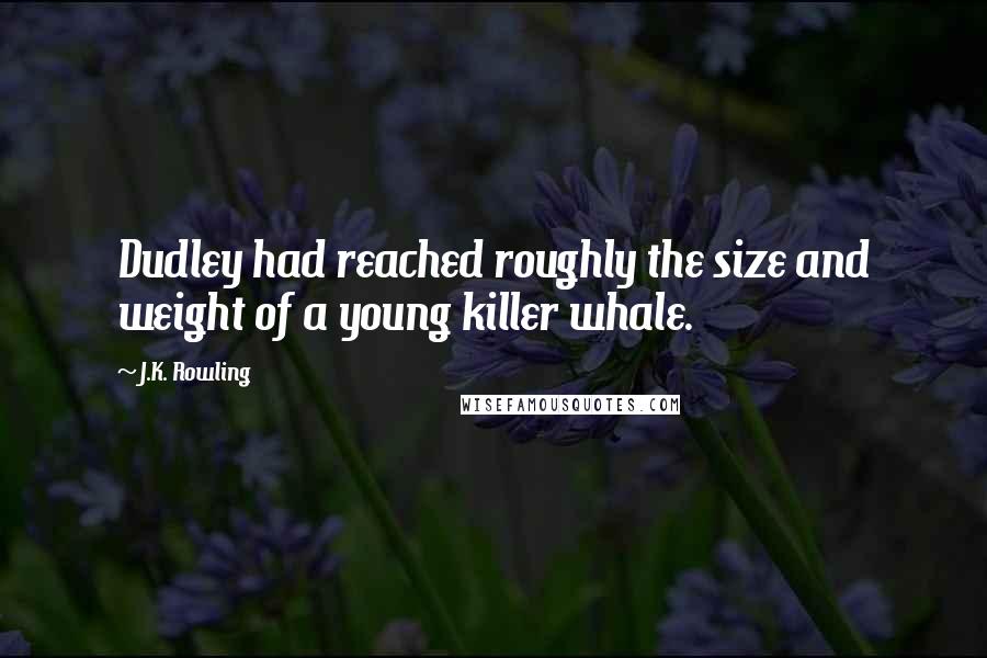 J.K. Rowling Quotes: Dudley had reached roughly the size and weight of a young killer whale.