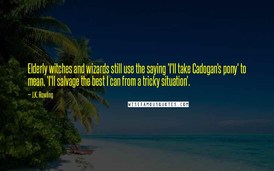 J.K. Rowling Quotes: Elderly witches and wizards still use the saying 'I'll take Cadogan's pony' to mean, 'I'll salvage the best I can from a tricky situation'.