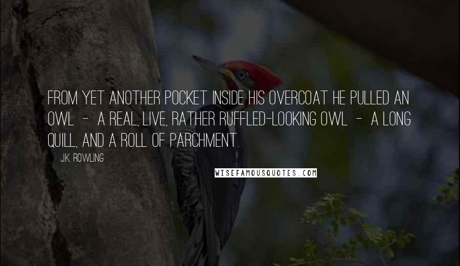 J.K. Rowling Quotes: from yet another pocket inside his overcoat he pulled an owl  -  a real, live, rather ruffled-looking owl  -  a long quill, and a roll of parchment.