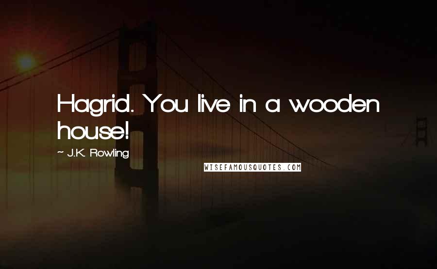 J.K. Rowling Quotes: Hagrid. You live in a wooden house!