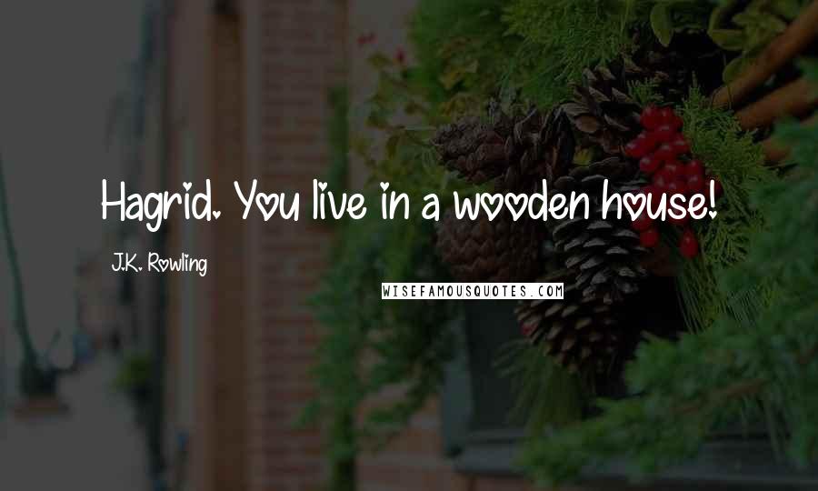 J.K. Rowling Quotes: Hagrid. You live in a wooden house!