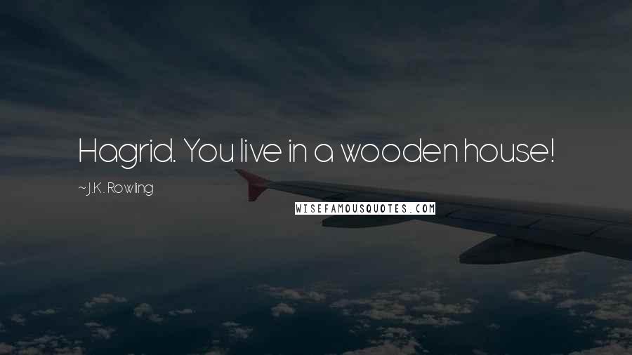 J.K. Rowling Quotes: Hagrid. You live in a wooden house!