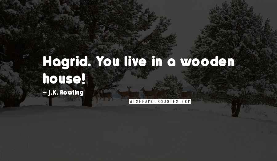 J.K. Rowling Quotes: Hagrid. You live in a wooden house!