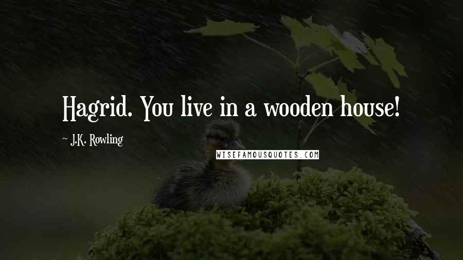 J.K. Rowling Quotes: Hagrid. You live in a wooden house!