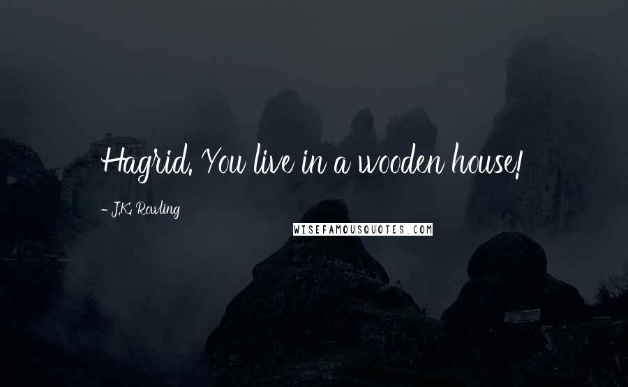 J.K. Rowling Quotes: Hagrid. You live in a wooden house!