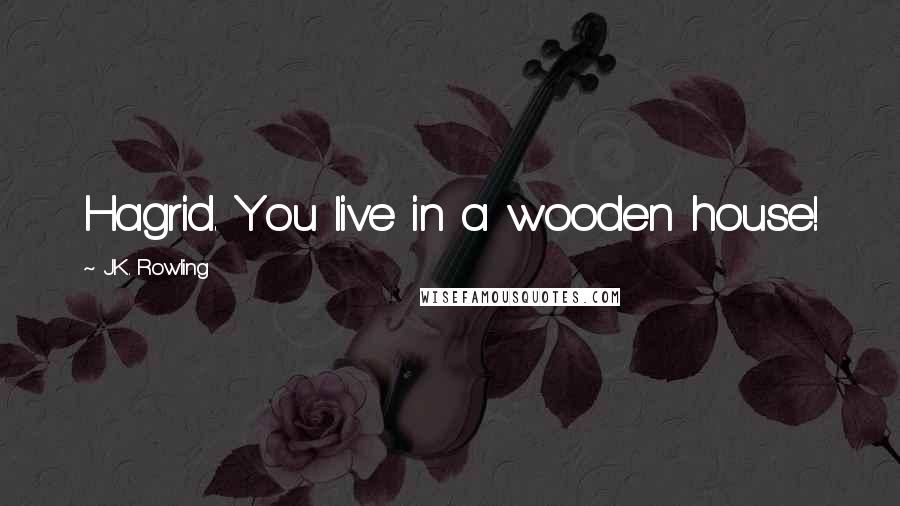 J.K. Rowling Quotes: Hagrid. You live in a wooden house!