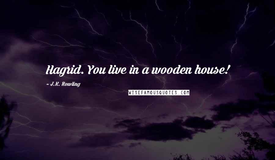 J.K. Rowling Quotes: Hagrid. You live in a wooden house!