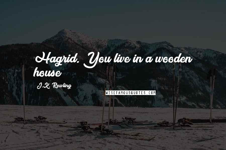 J.K. Rowling Quotes: Hagrid. You live in a wooden house!