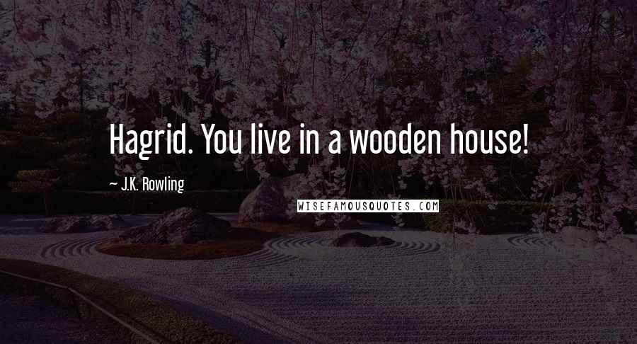 J.K. Rowling Quotes: Hagrid. You live in a wooden house!